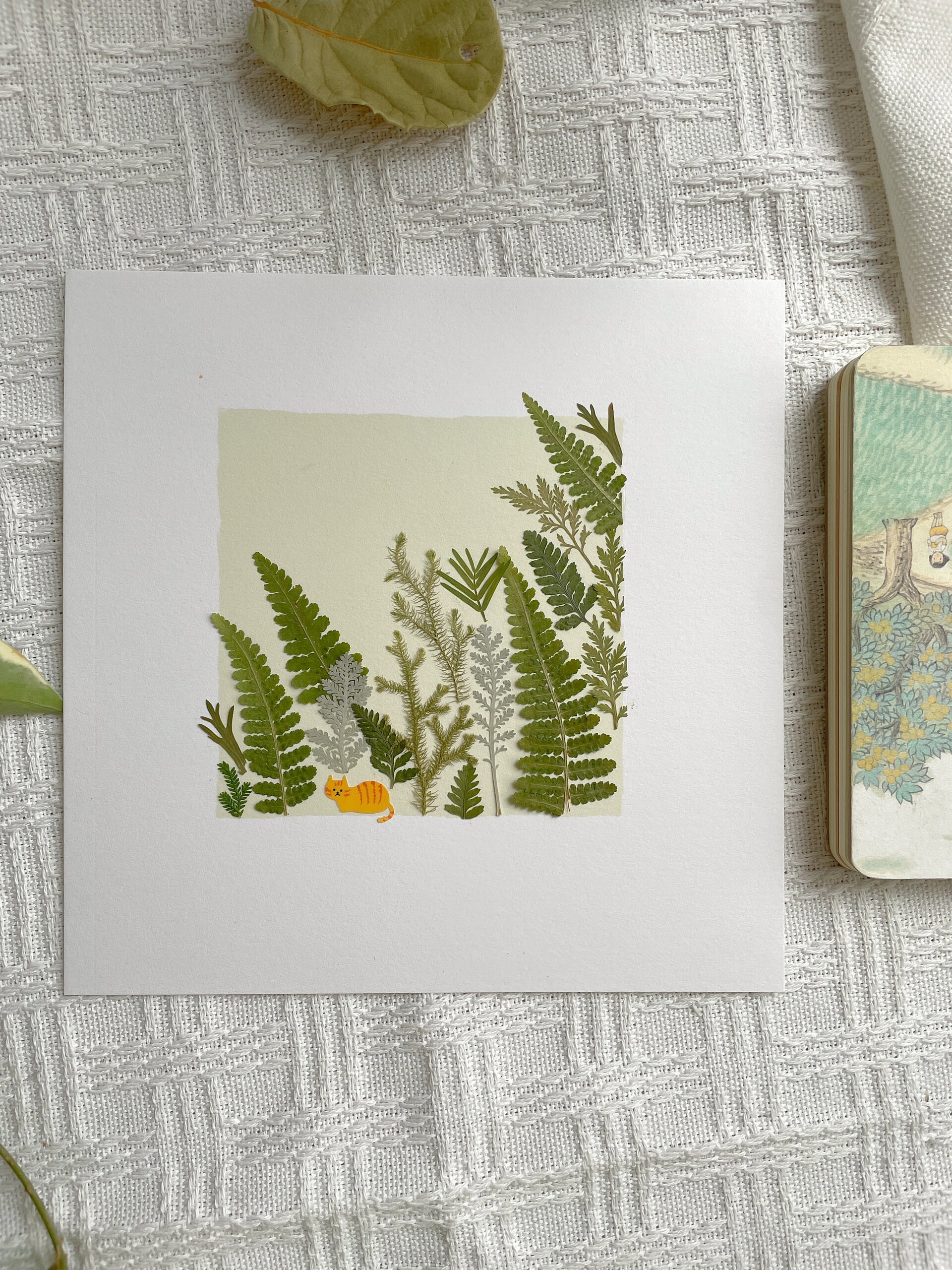 森林里起风了  一副植物标本小画