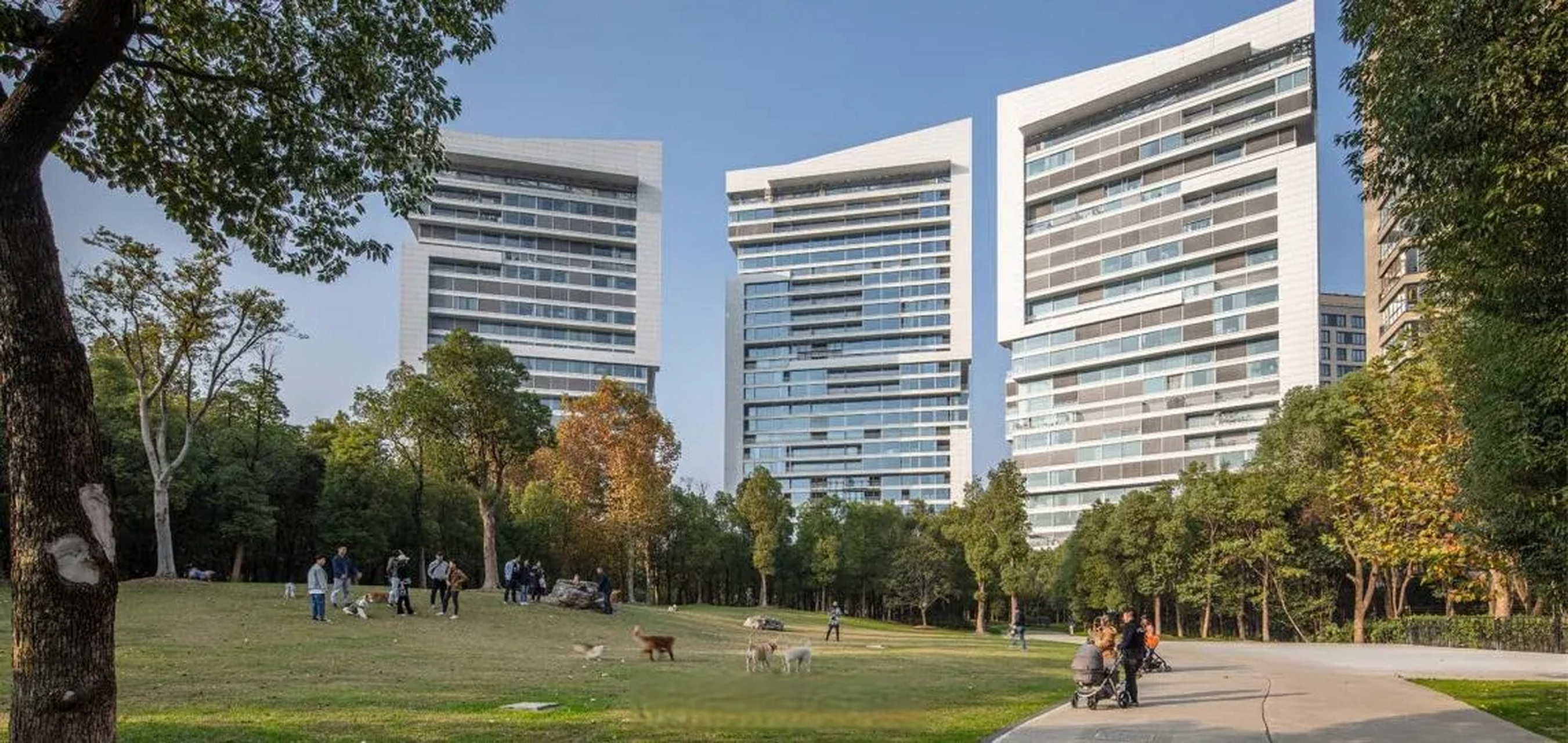 【普陀这些市级绿色社区,快来看看有你家吗?