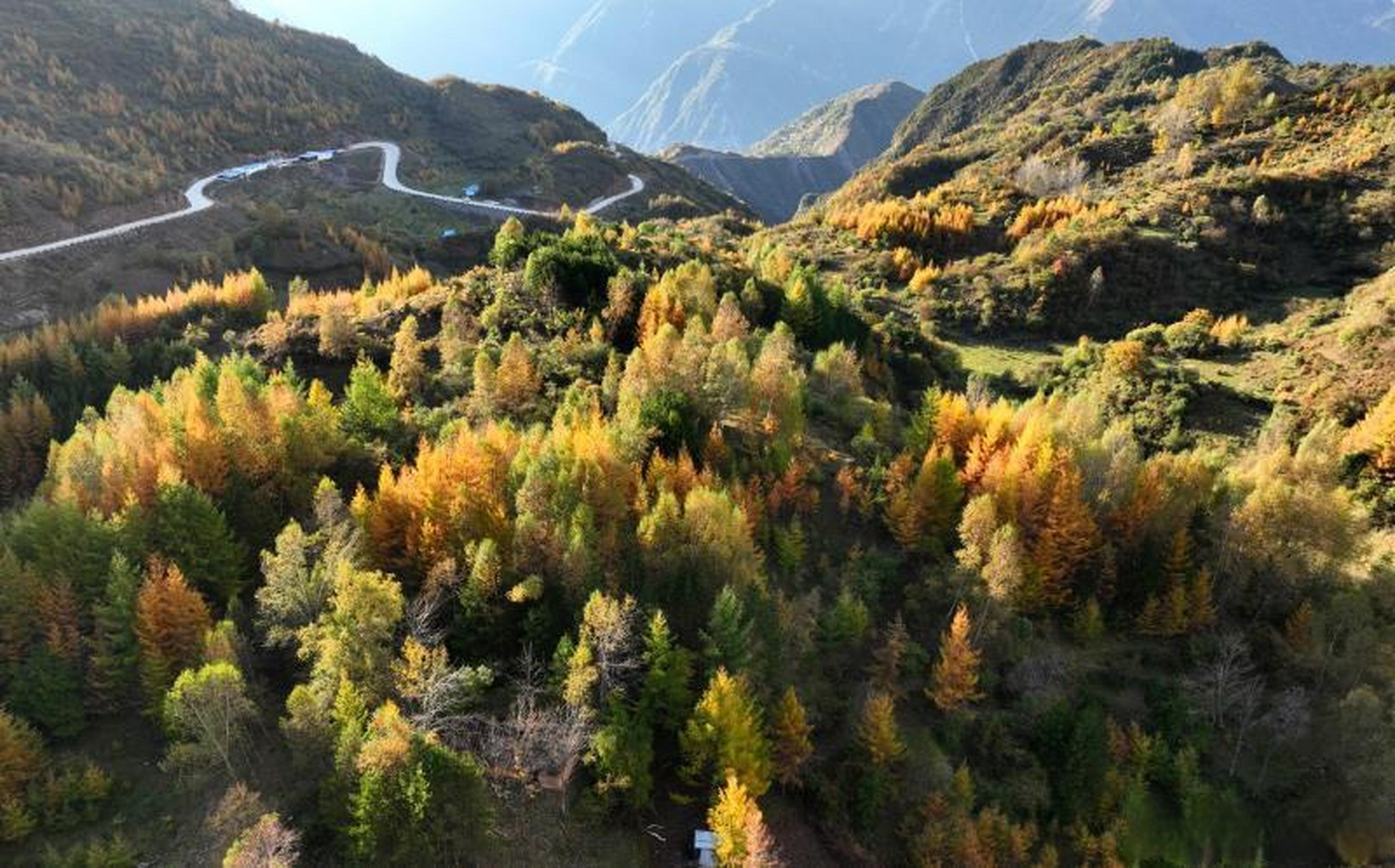 陇南发布分享# 10月14日,武都区千坝草原,层林尽染,秋景如画.