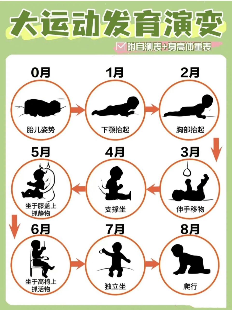 0到12个月婴儿的大动作发育演变 什么是大运动?