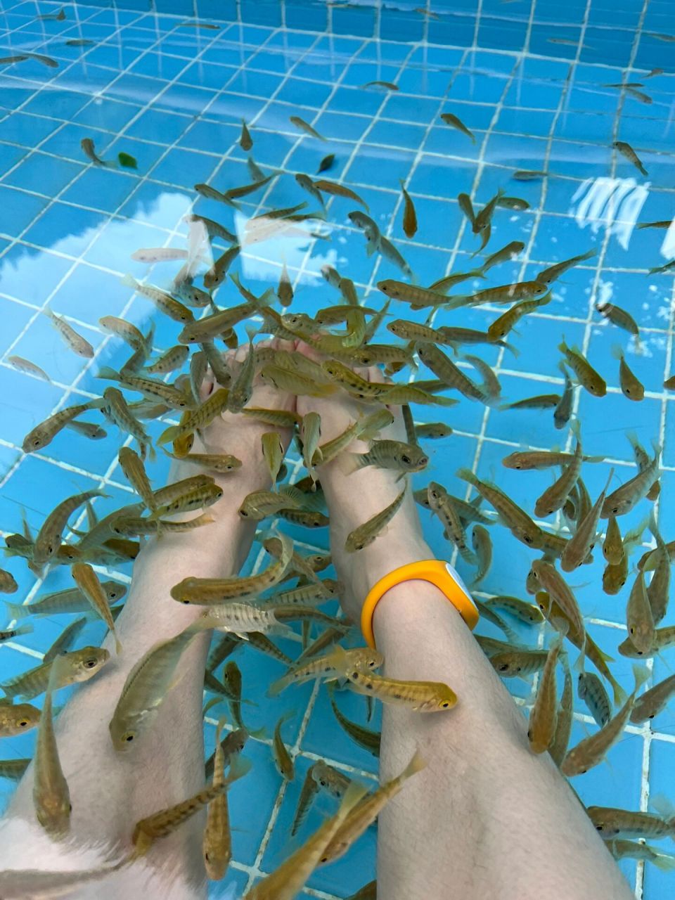 昆明正宗天然温泉 导航到禄劝原始部落野温泉即可达; 纯天然温泉,比