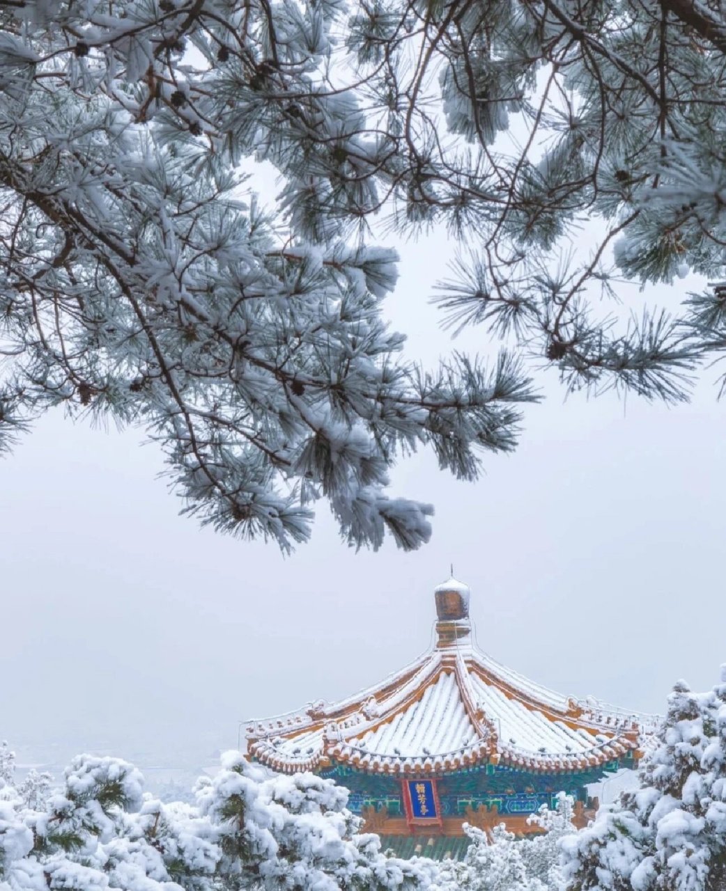 北京什么时候下雪? 轮雪景出圈名场面,又怎么能少了北京城呢!