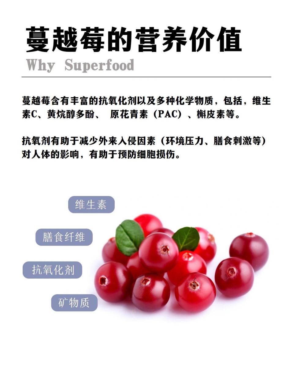 超级食物 | 蔓越莓的营养成分和作用 超级食物 | 蔓越莓的营养成分和