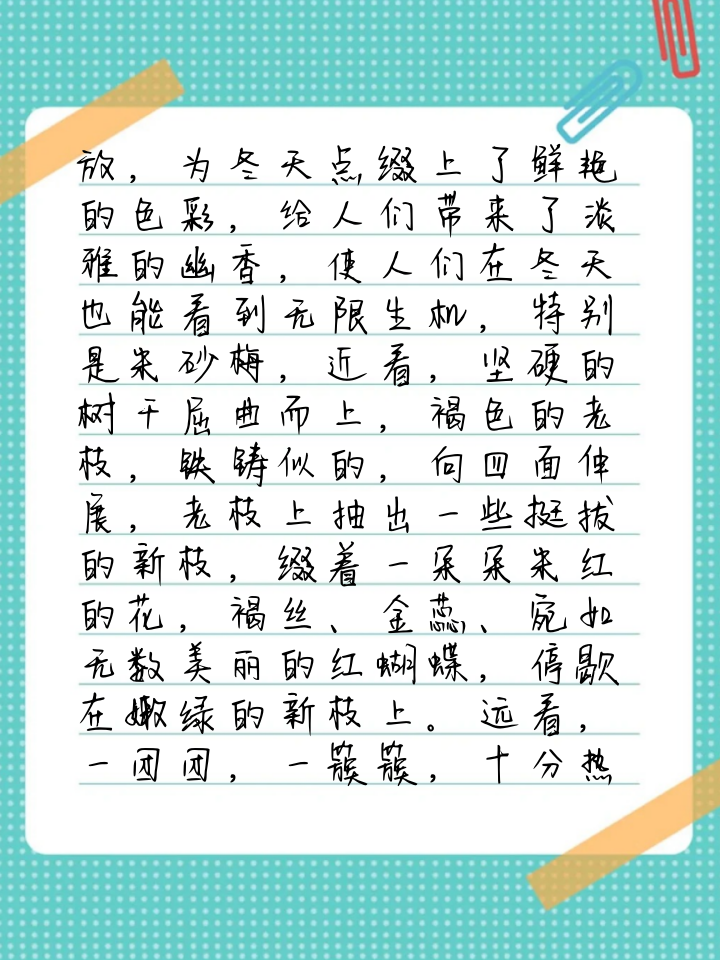 梅花三年级作文300字