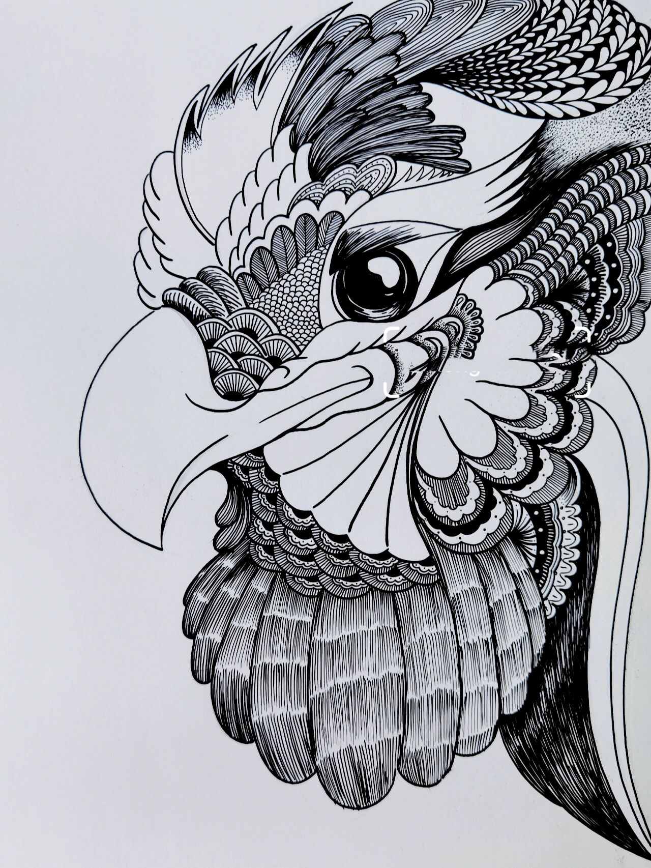 线描画 线描老鹰07 黑白线描画(1) 线描老鹰07  各种线描元素的