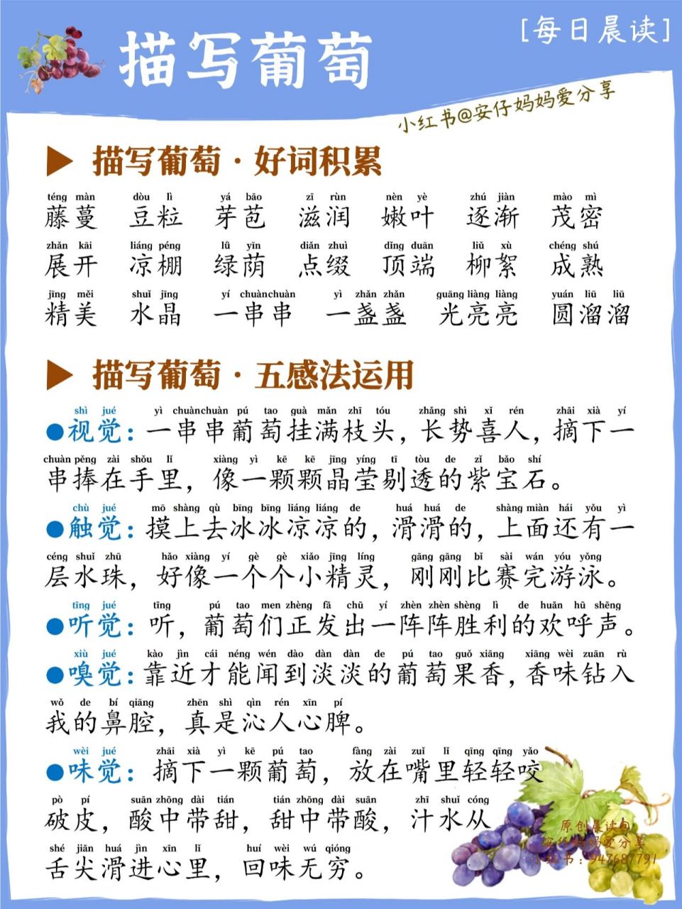 描写葡萄/小学生晨读/带拼音/好词好句摘抄 小学生美文晨读作文(带