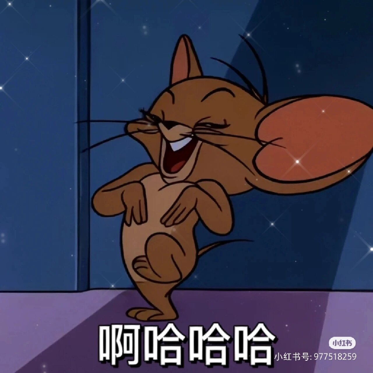 猫和老鼠 杰瑞表情包