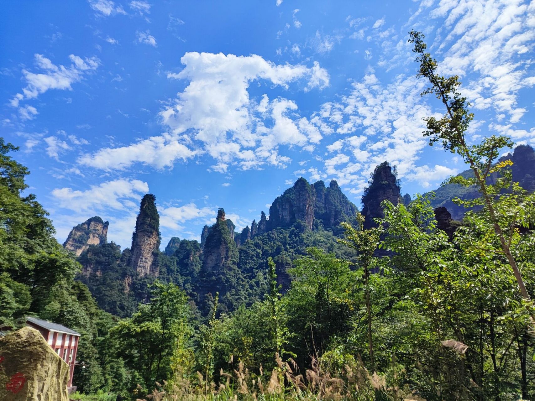 张家界国家森林公园十里画廊 十里画廊风景的确美不胜收,从东门进入