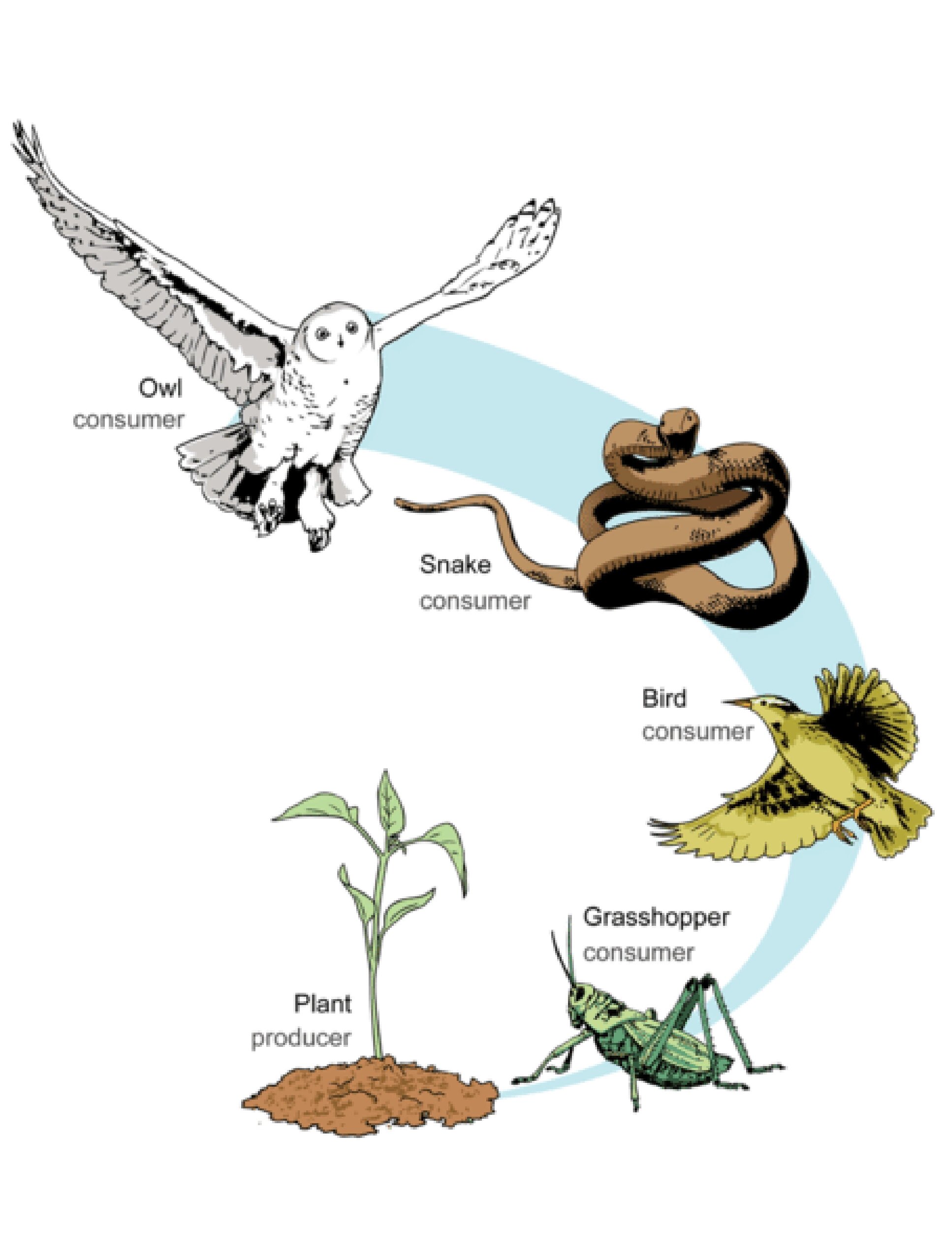 伟德bv1946官网-根神京都姬骑士2汉化