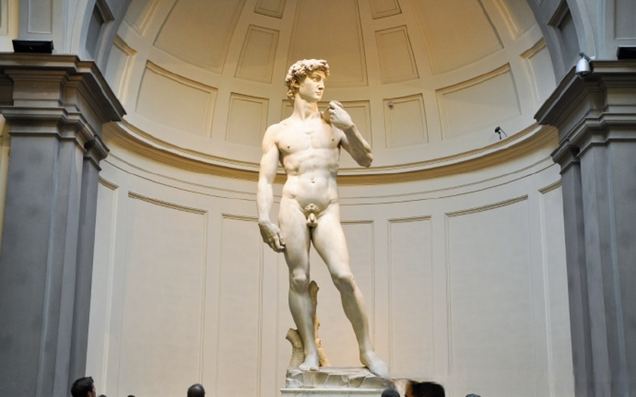 【#学校展示大卫雕像被家长投诉色情# 】美国佛罗里达州塔拉哈西古典