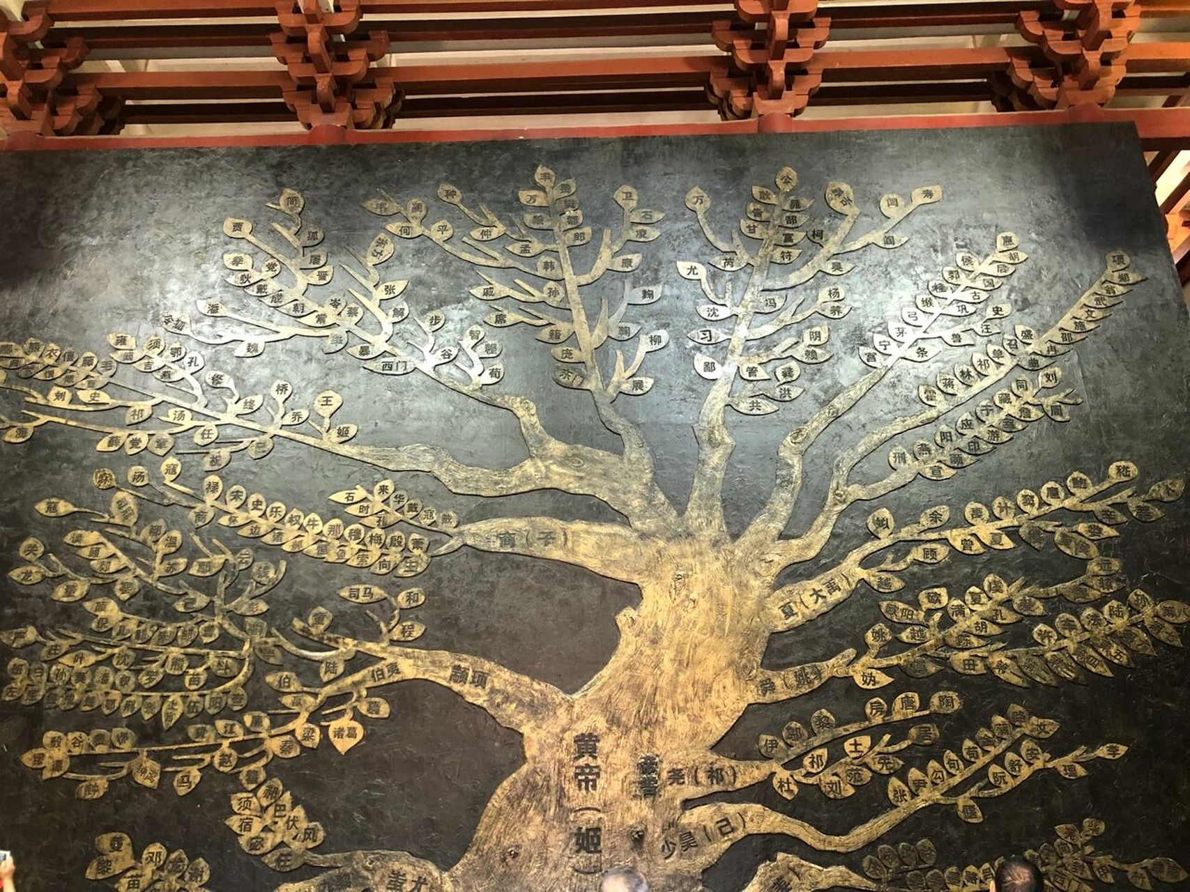 姓氏树,你的姓是谁的后代?