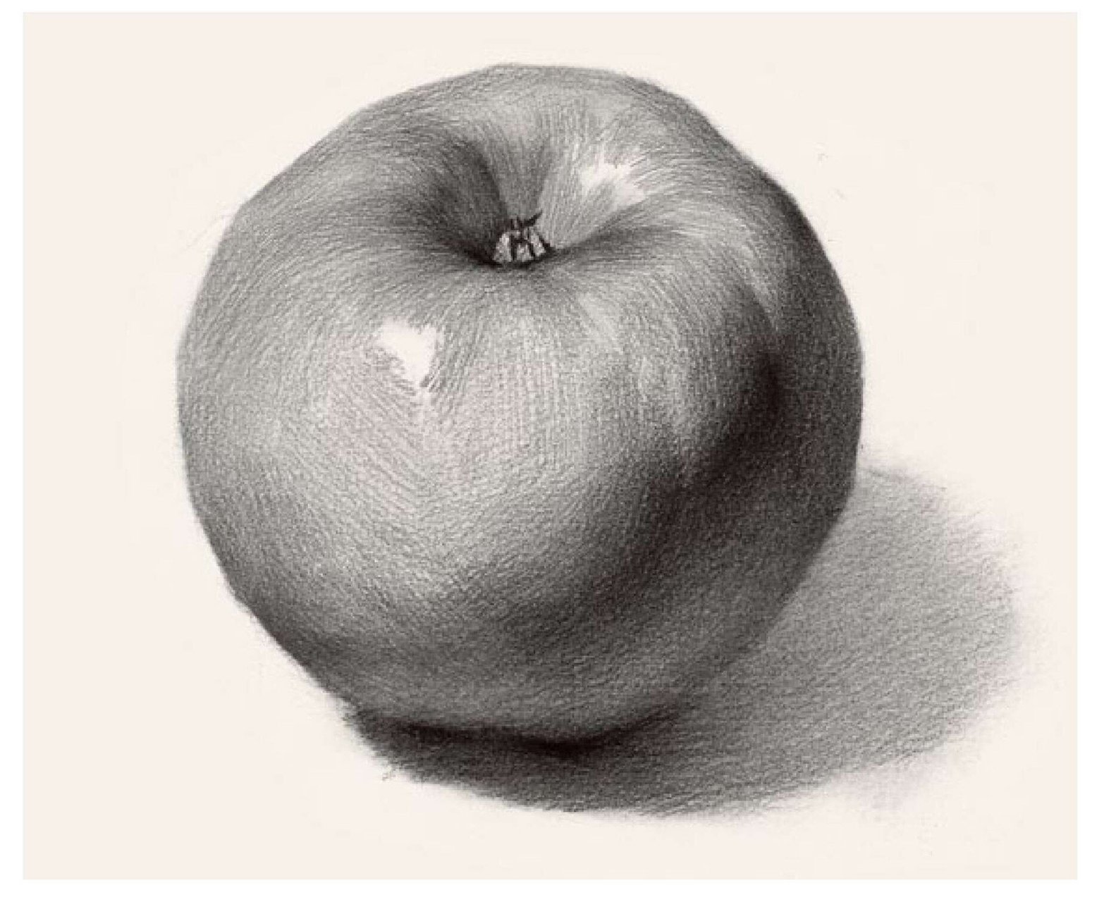 少儿美术培训机构|画室 【素描静物临摹练习素材】 559张参考作品