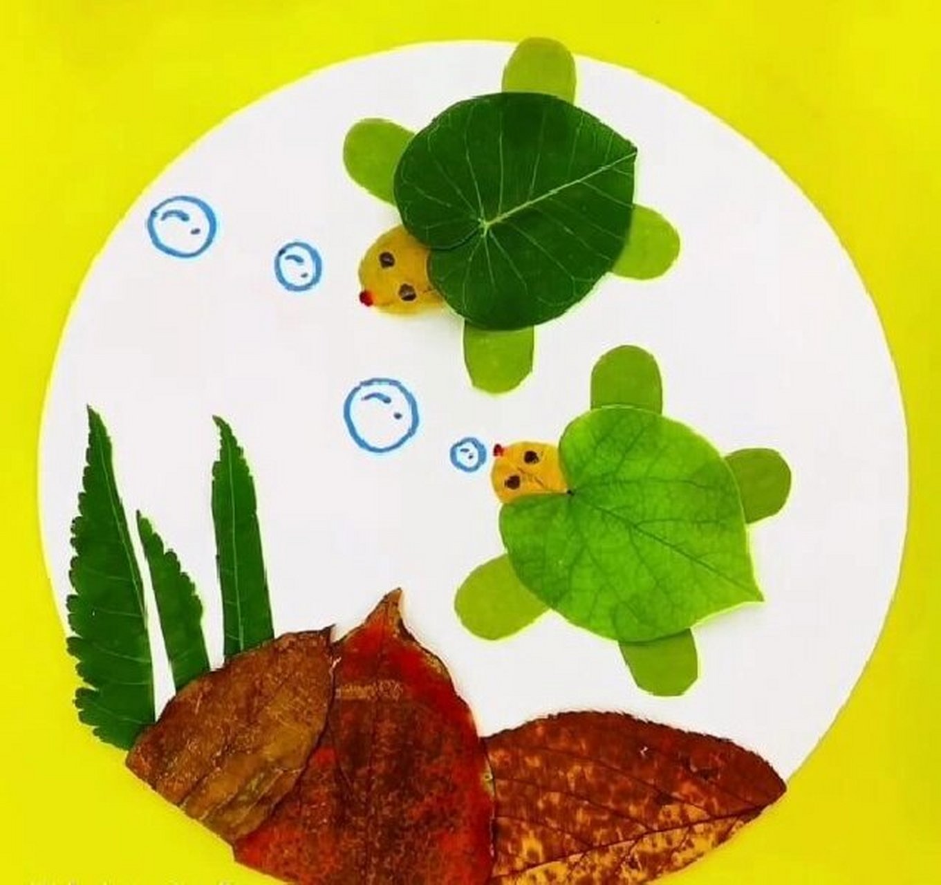 儿童手工树叶贴画 - 海龟 - 海龟