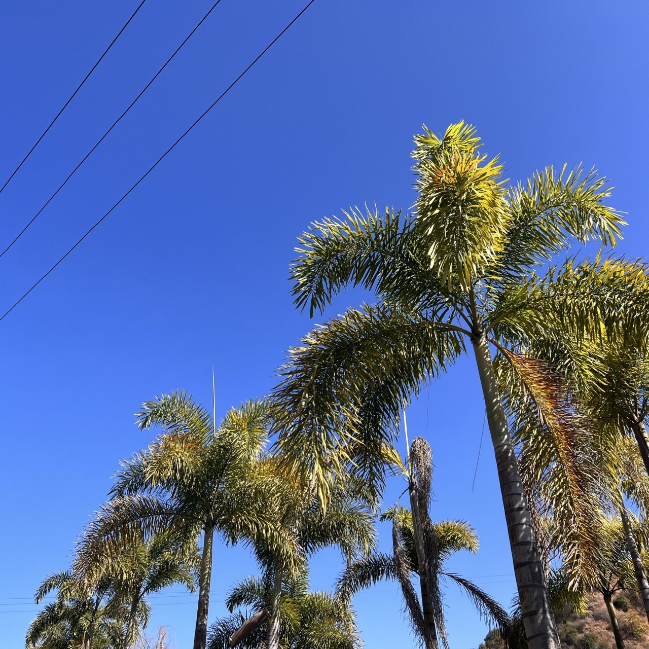 24攀枝花 普达阳光度假村7715 99地点:攀枝花普达阳光国际康养