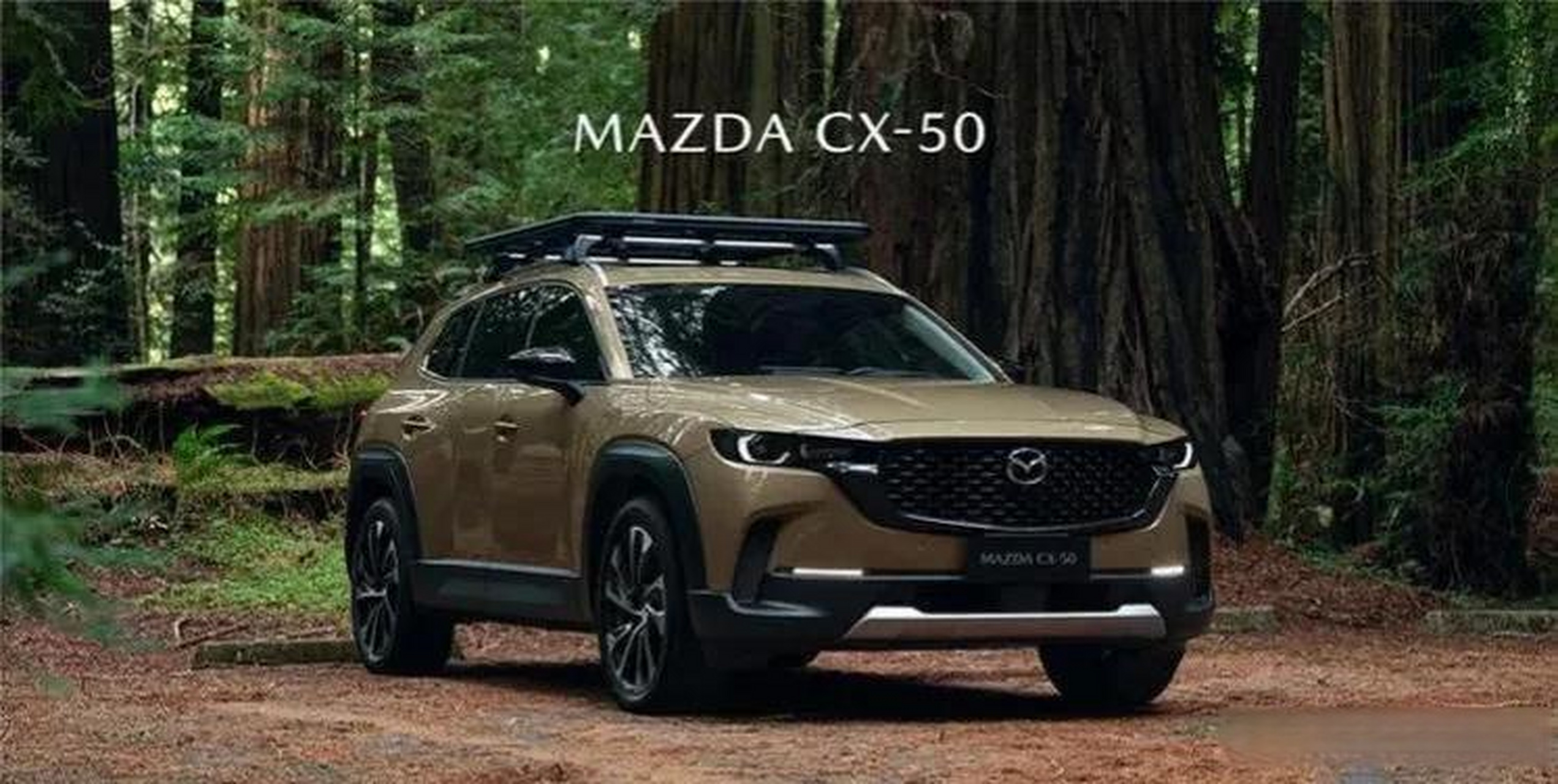 作为一款备受关注的suv车型,mazda cx-50自上市以来就备受消费者追捧.