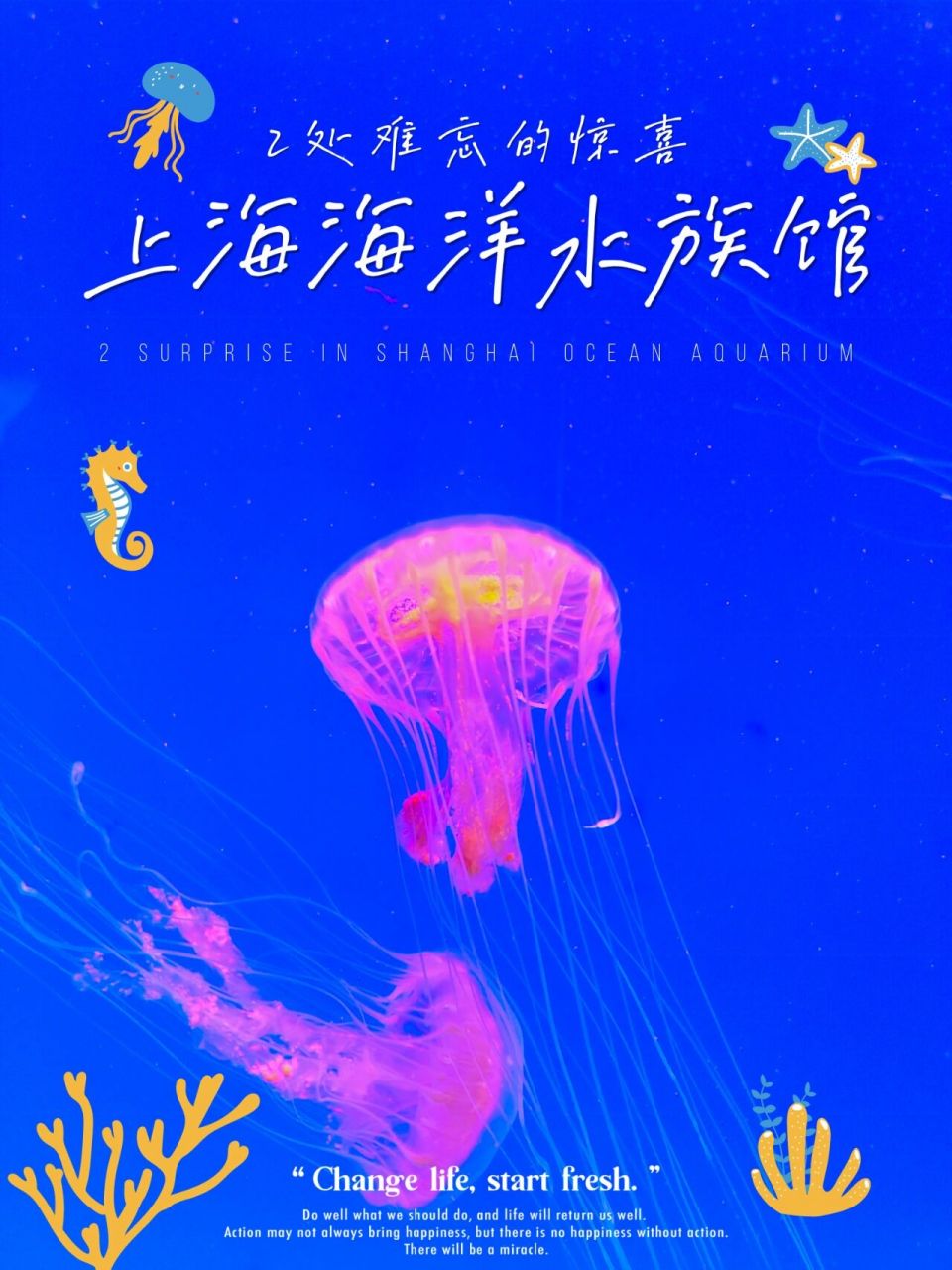 魔都周末|上海海洋水族馆·亲子游玩全攻略 一眨眼,到了寒假7615