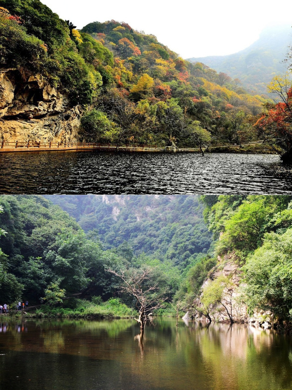 2010/10/2丨渭南少华山丨国家森林公园 提起华山应该很多人知道 少