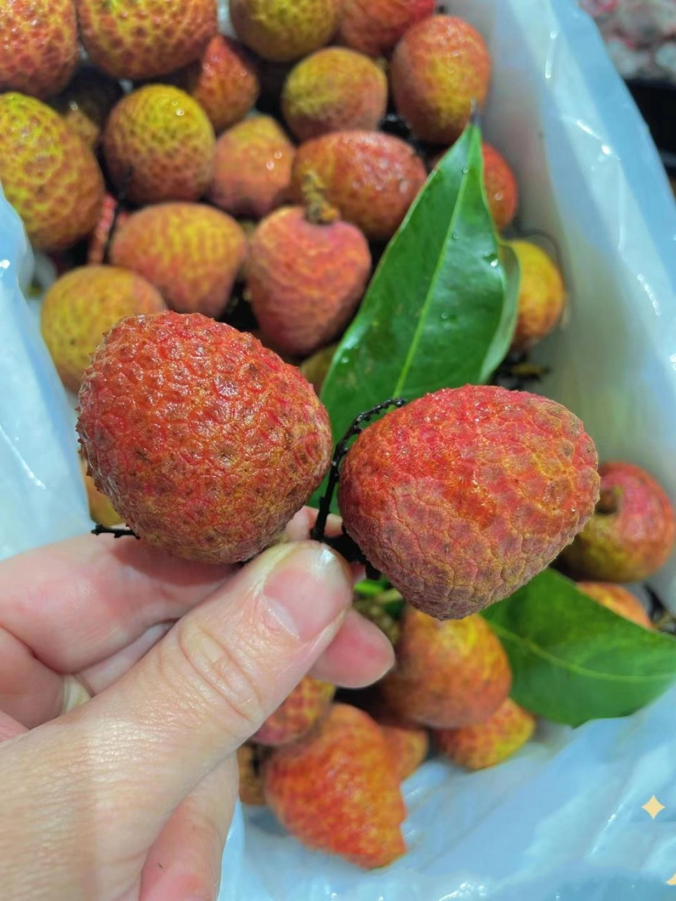 桂花香荔枝 785561q弹的果肉宛若凝脂,有股淡淡的蜜香.