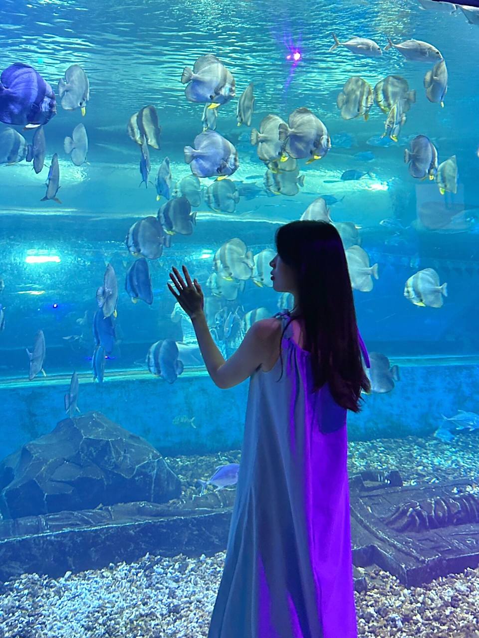 东莞超大海洋馆96五一去这里太好玩啦!