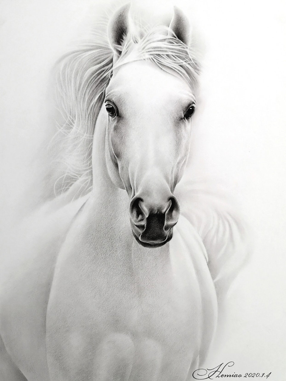 素描 《马》 炭笔 素描纸 炭笔 素描纸