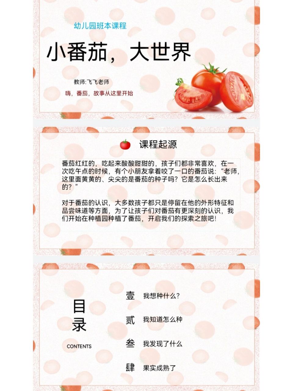 2023幼儿园最新班本课程《小番茄大世界》