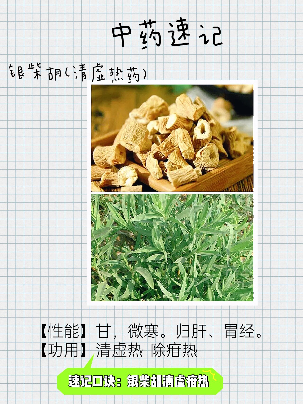 速记中药功效:银柴胡清虚疳热 【性能】甘,微寒.归肝,胃经.