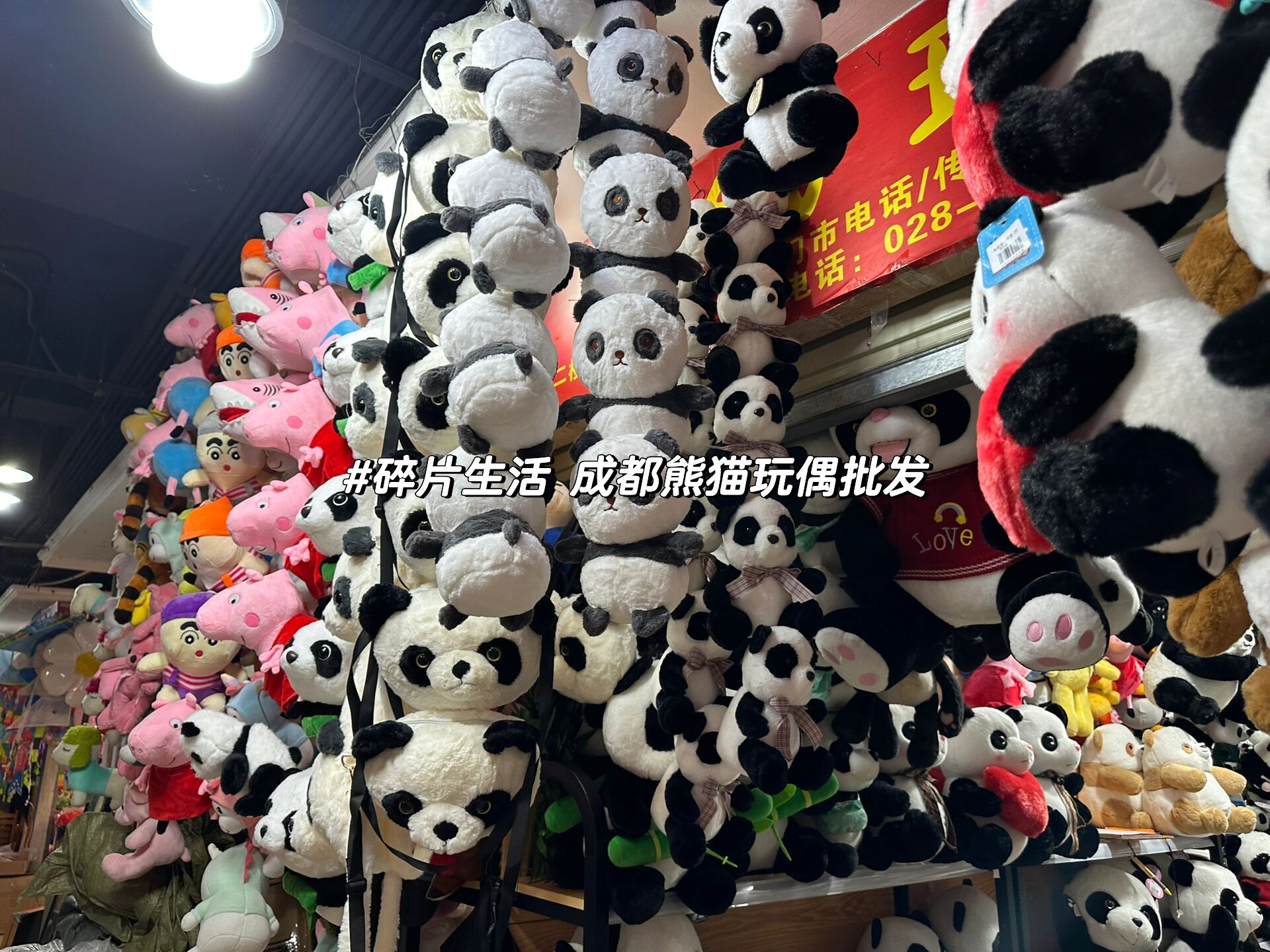 成都 熊猫玩偶批发还是得去瑶锌毛绒 离开成都前带着孩子去买点熊猫