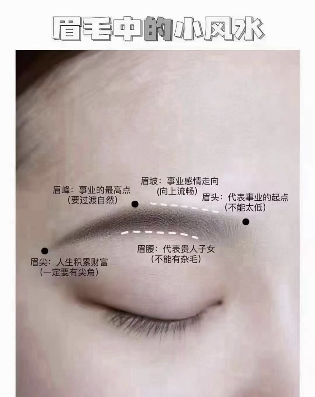 眉毛风水学