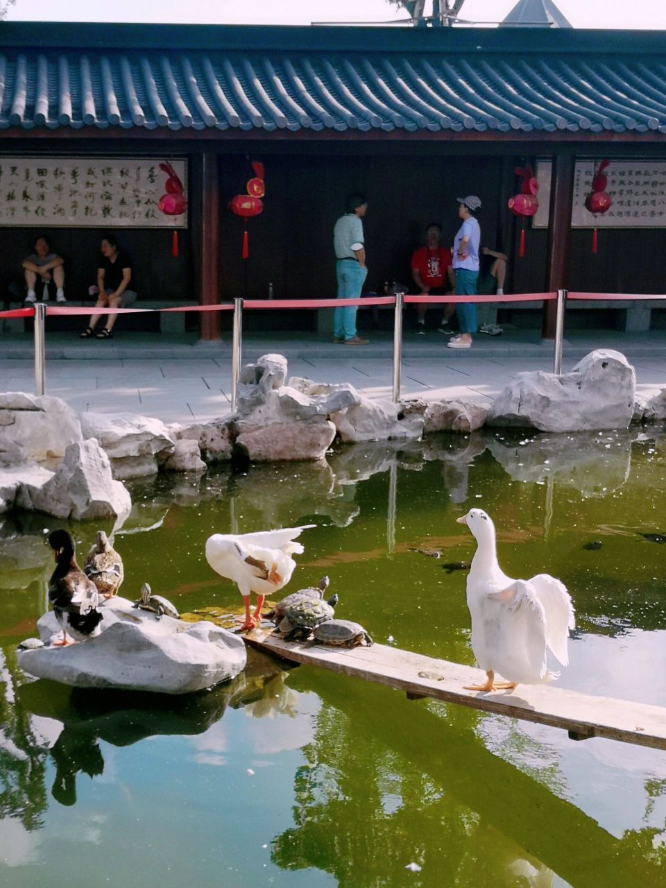 龙华寺 龙华寺也去好了!