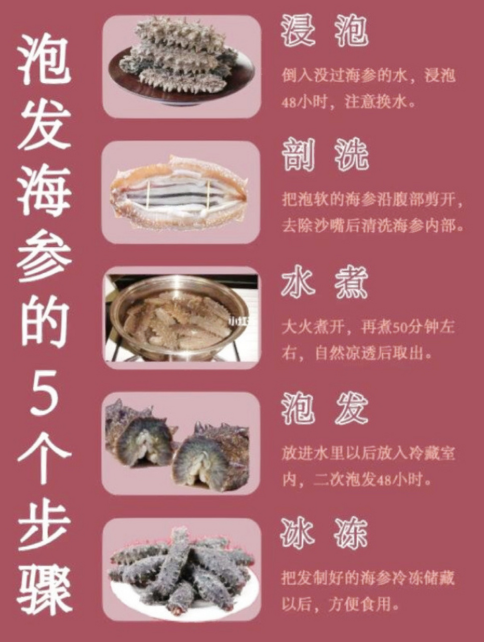 海参怎么处理?简单五步教你泡发海参!