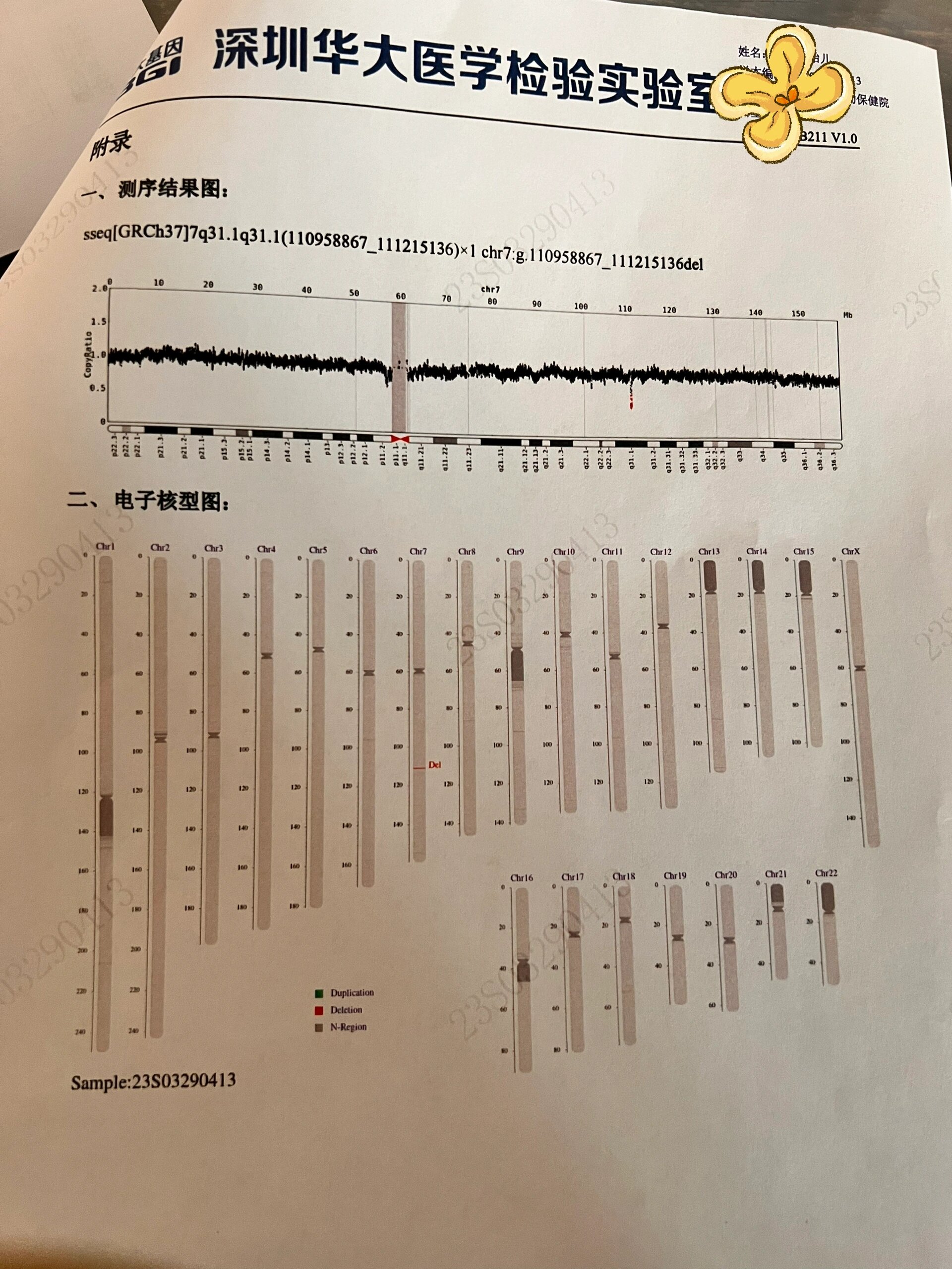 胚胎染色体报告图片