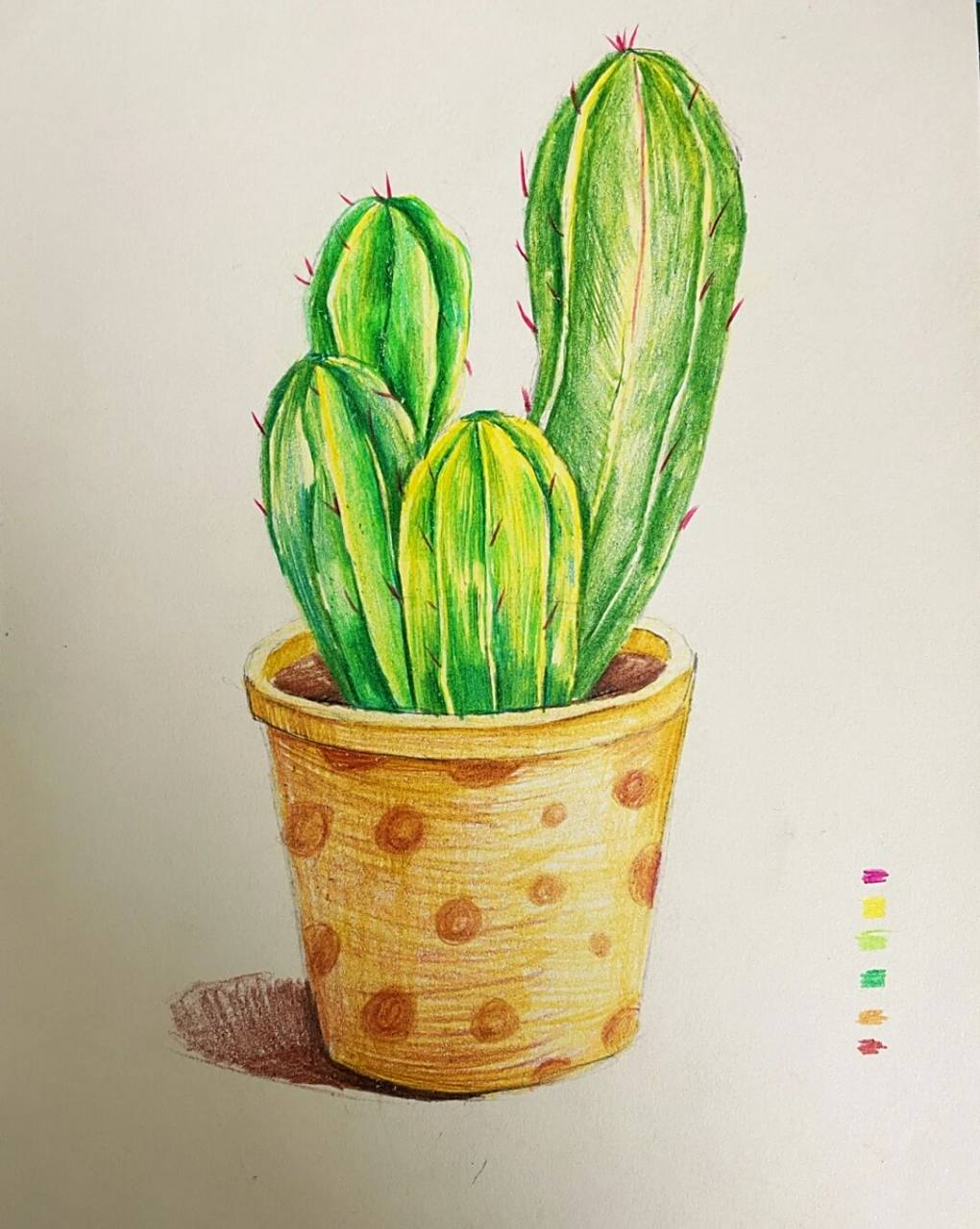 彩铅仙人掌 许久不画彩铅,画起来还是那么喜欢93 今天用到的是家的