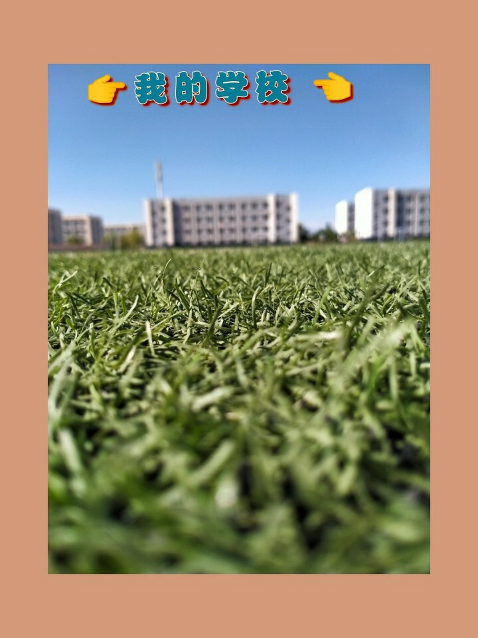 喀什职业技术学院