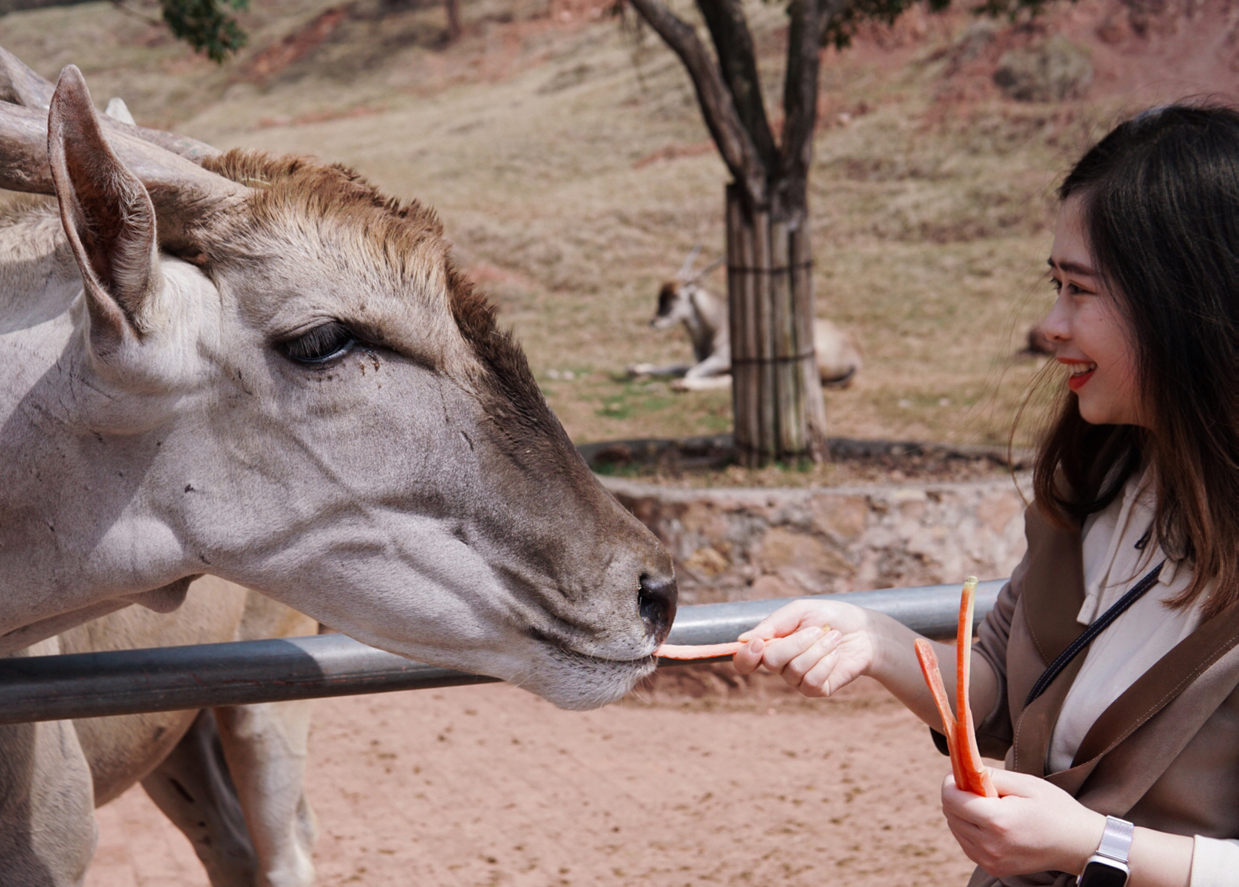 永川野生动物园 重庆自驾过去差不多1个多小时,直接导航永川野生动物