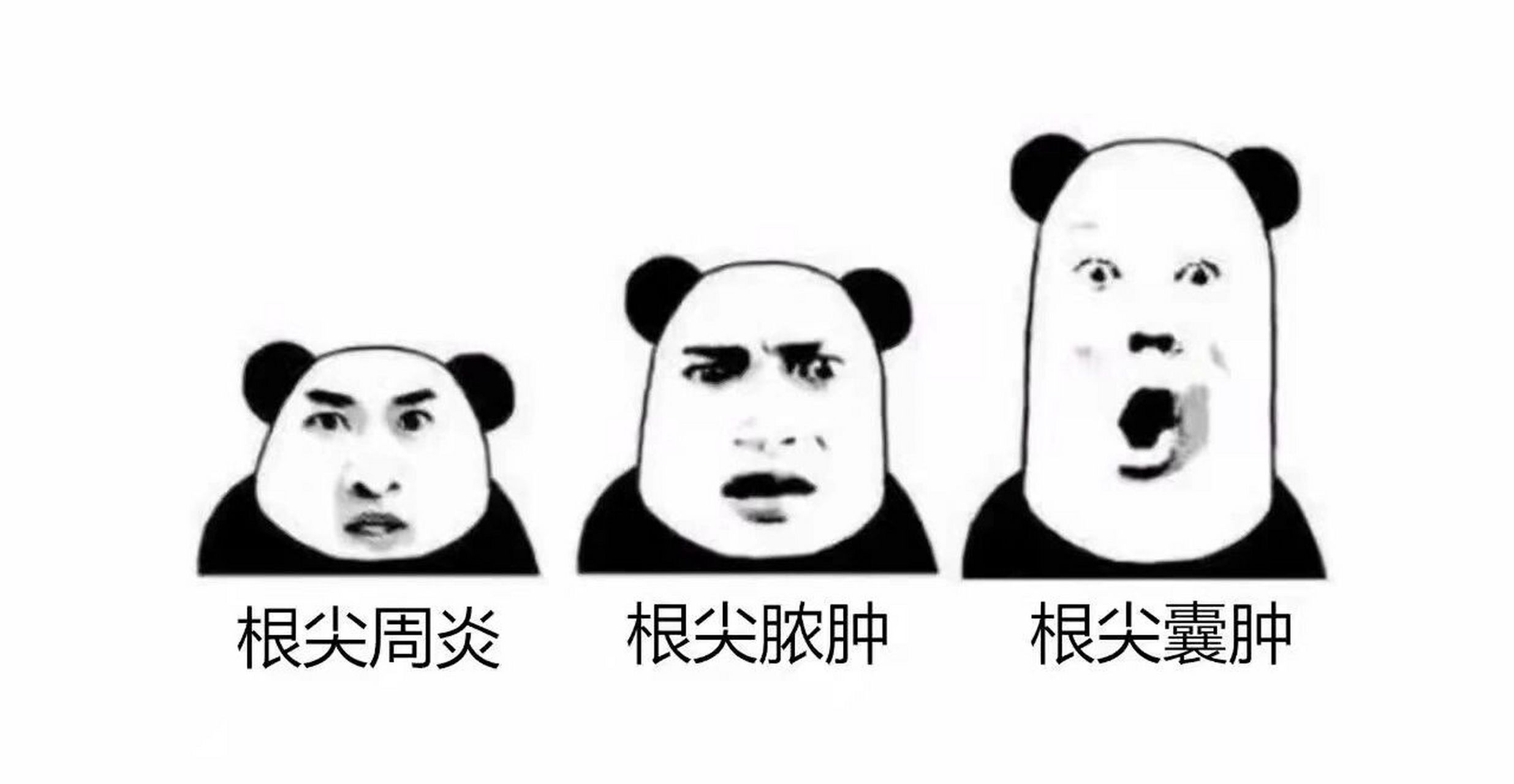 口腔专用表情包