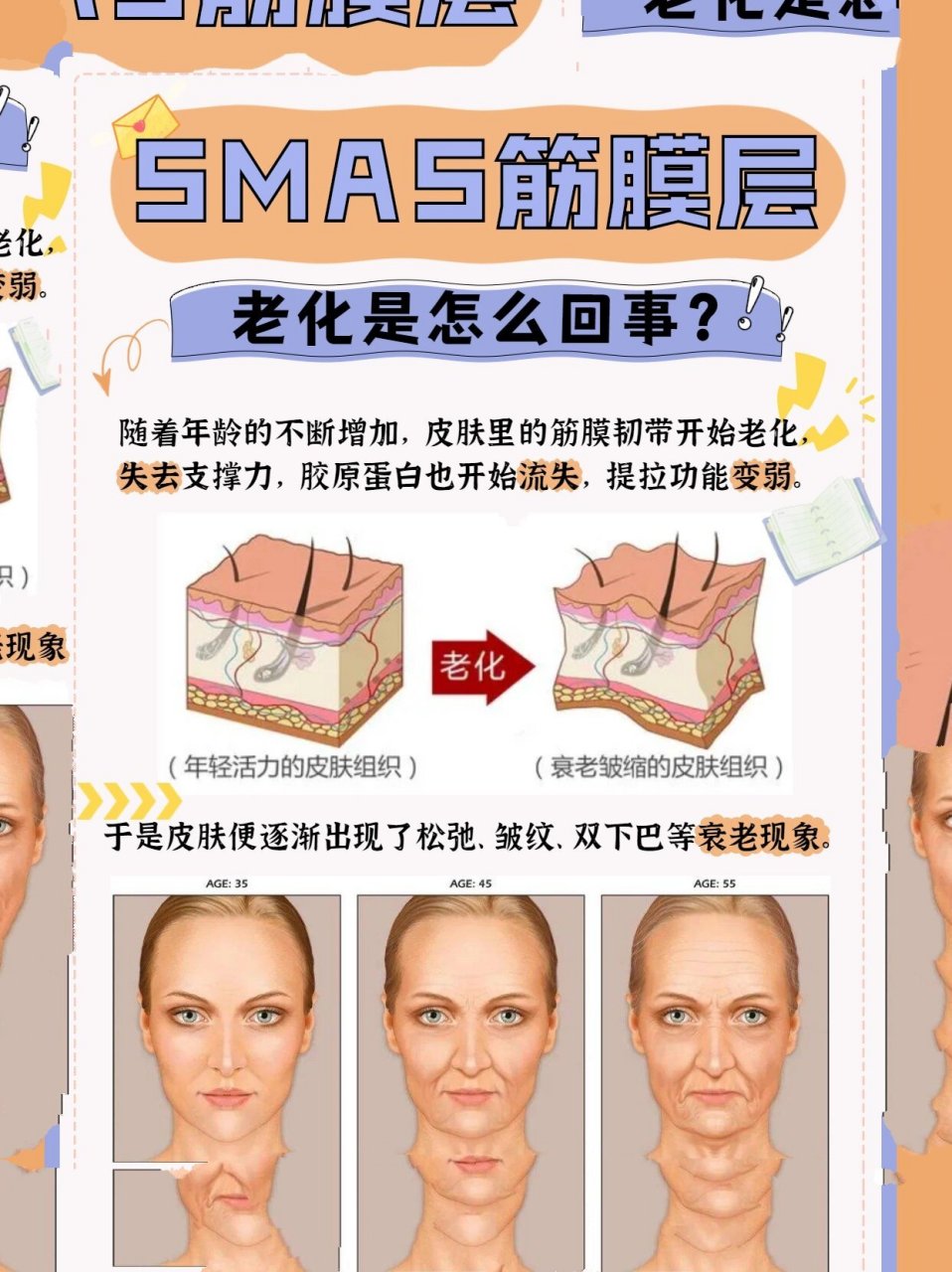 筋膜层衰老才是垮脸的元凶 ?