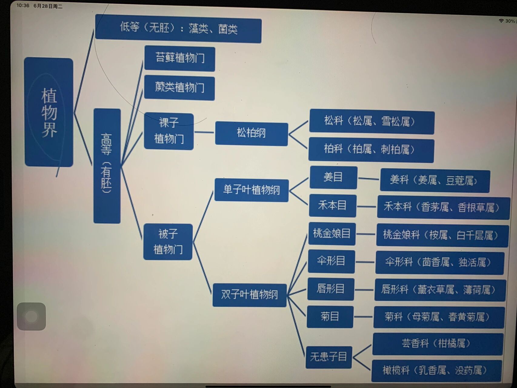 植物界门纲目科属种 裸子植物或单子叶植物萃取的精