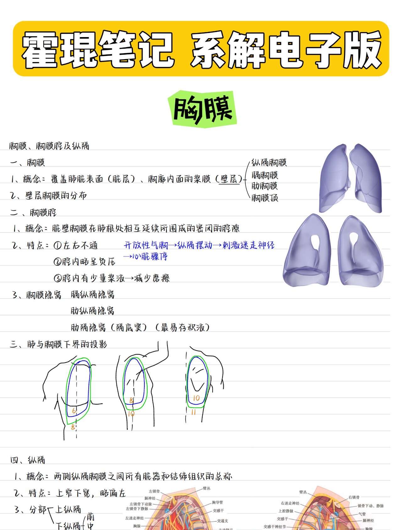 湖南专升本解剖必学 霍琨老师笔记