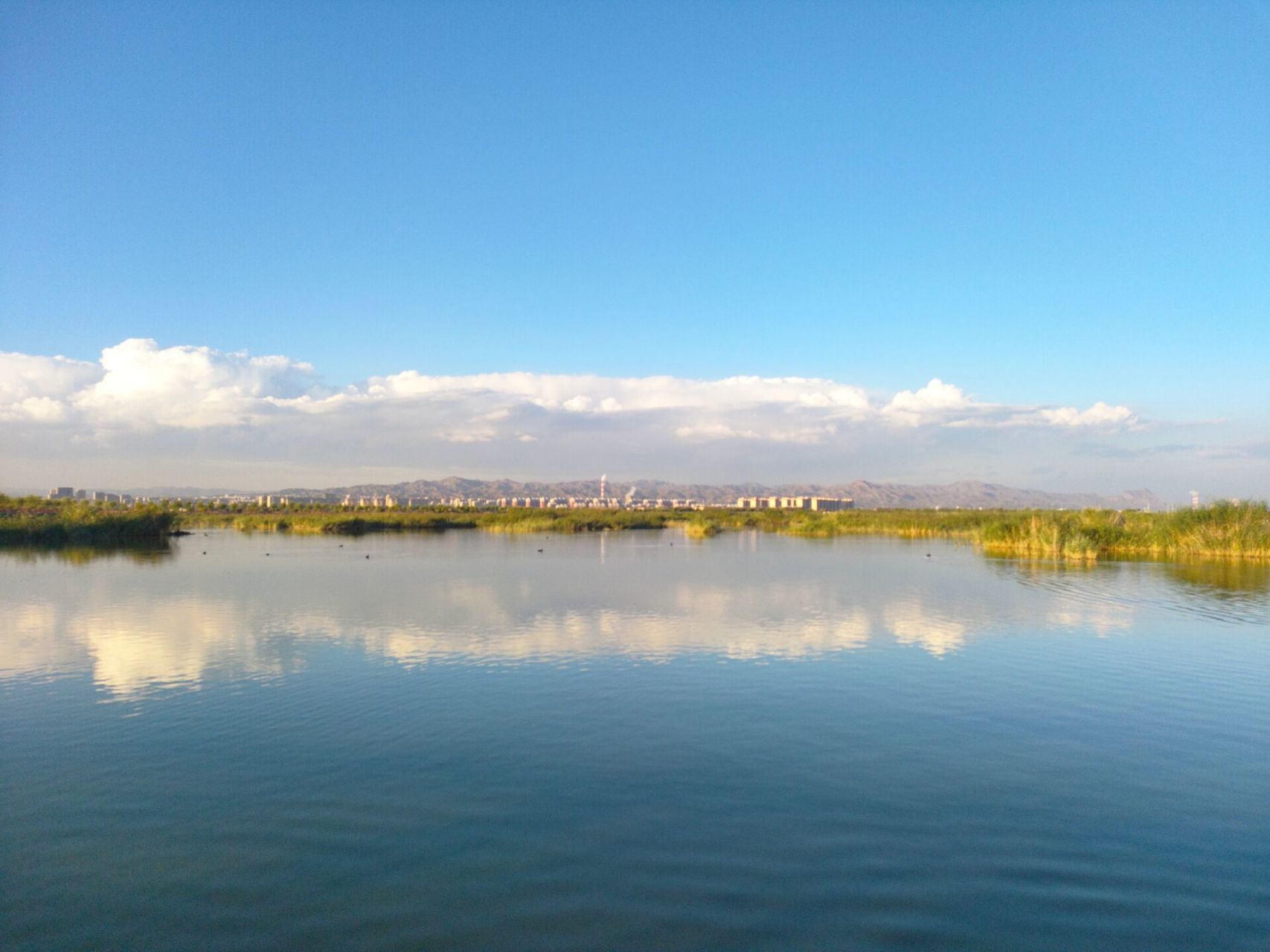 包头南海湿地景区,包头人的海～ 包头南海湿地景区～包头人的海～还挺