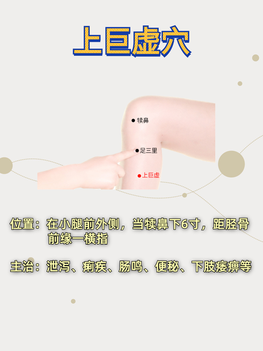 上巨虚穴的准确位置及功效