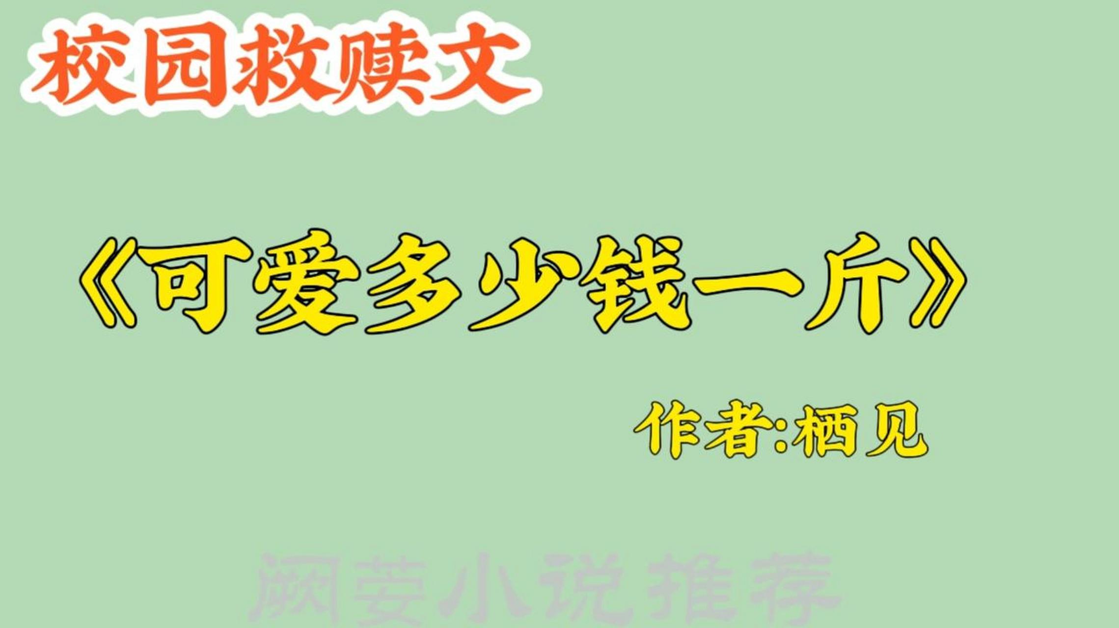 《可爱多少钱一斤》 作者:栖见 2.