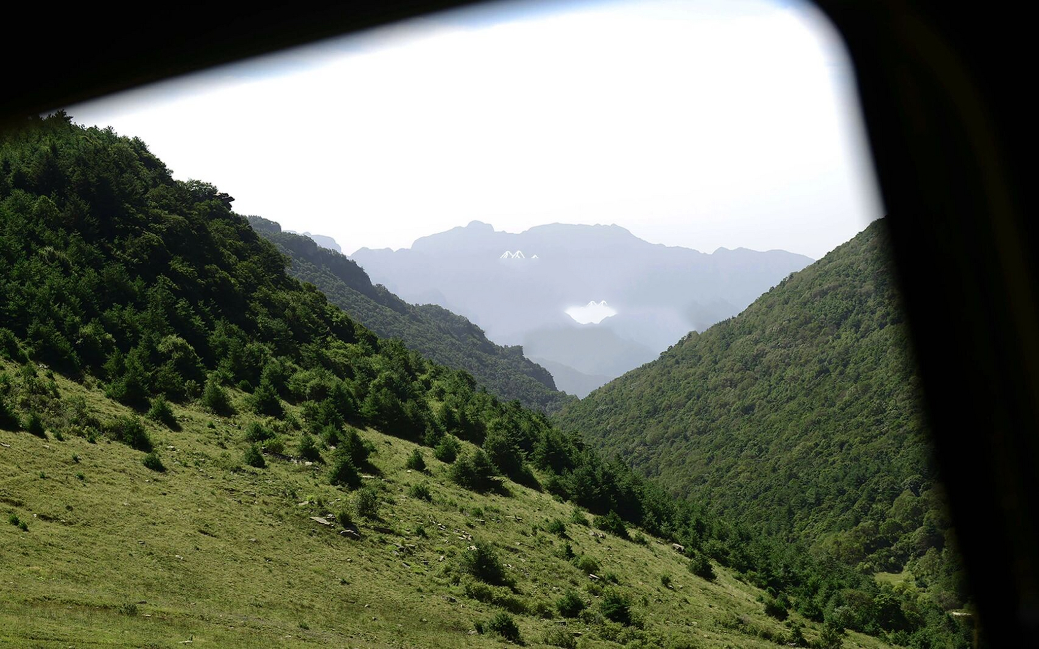 家乡太美|山西最适合徒步的原始森林 山西沁水历山国家森林公园 - 藏