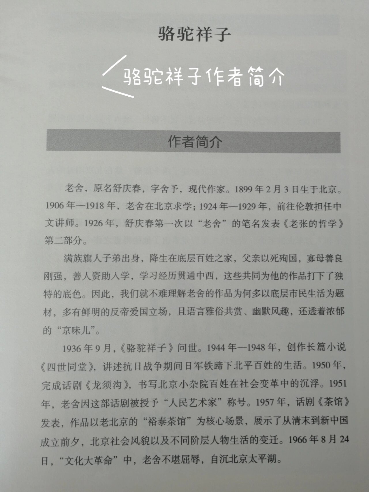 骆驼祥子作者简介