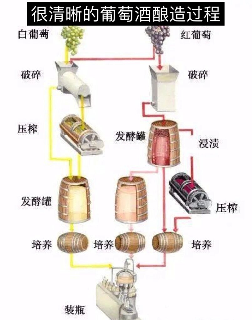 破碎,压榨,发酵,陈年和装瓶等步骤,但依据葡萄酒种类,酿造风格和工艺