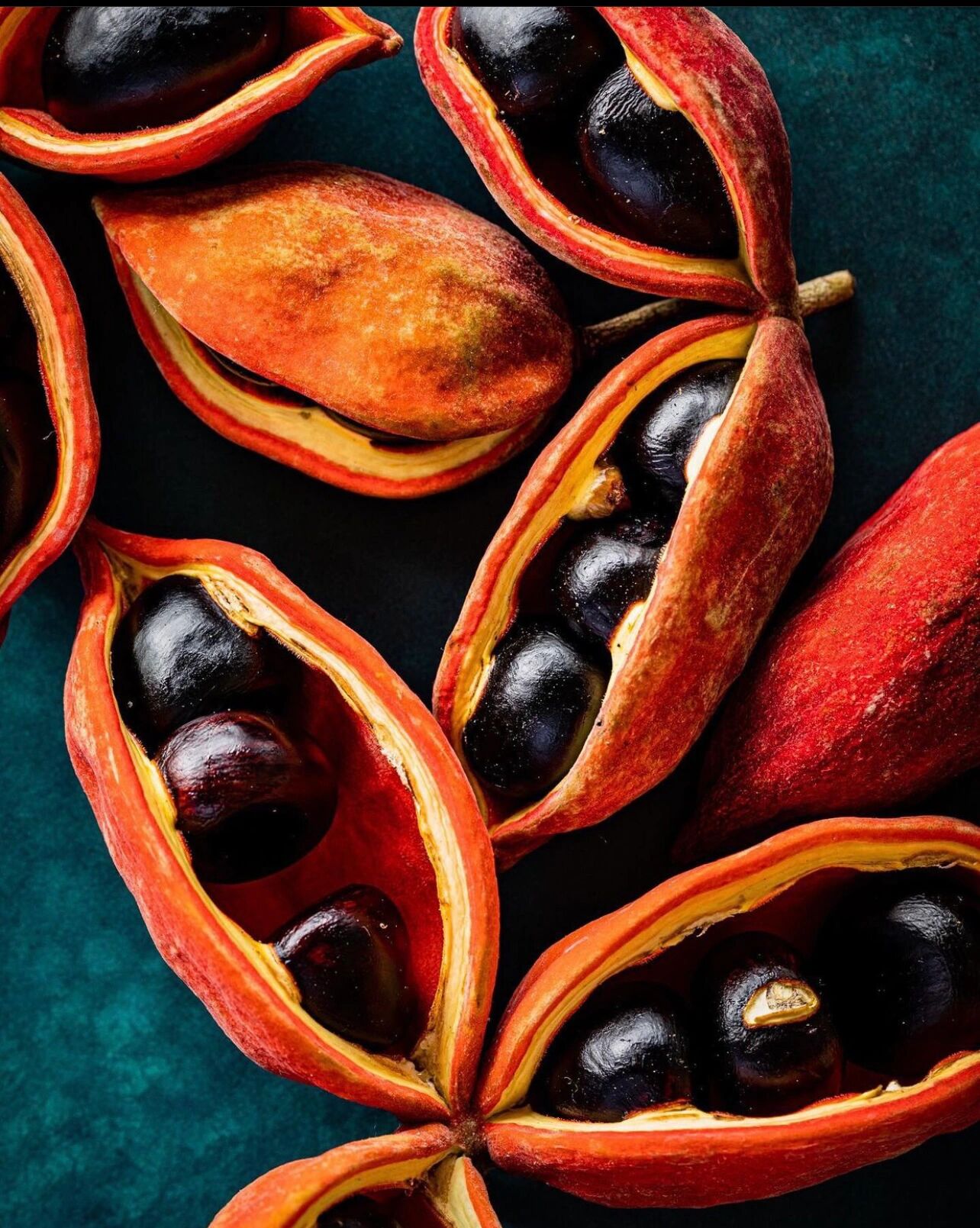 它是一种药食两用的食材,凤眼果的功效与作用 1,凤眼果能提高记忆力