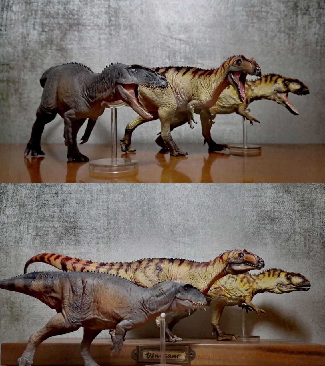 十二只兽脚类肉食恐龙 图二:中华盗龙,异特龙,永川龙,永川龙属于早期