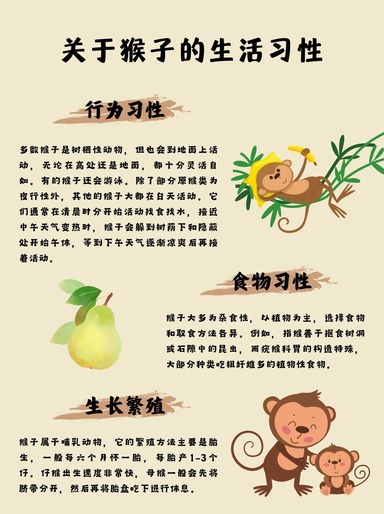 认识聪明的机灵鬼