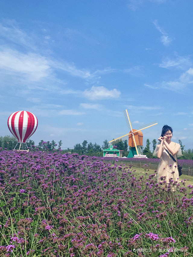 荷兰花海景点介绍图片