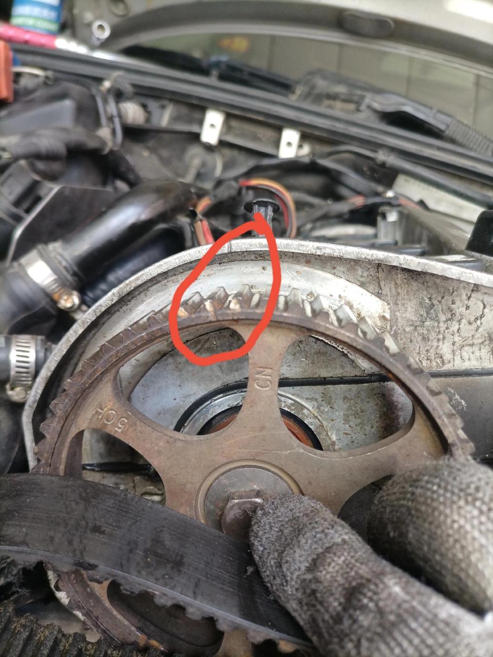 奥迪a4正时皮带安装图.
