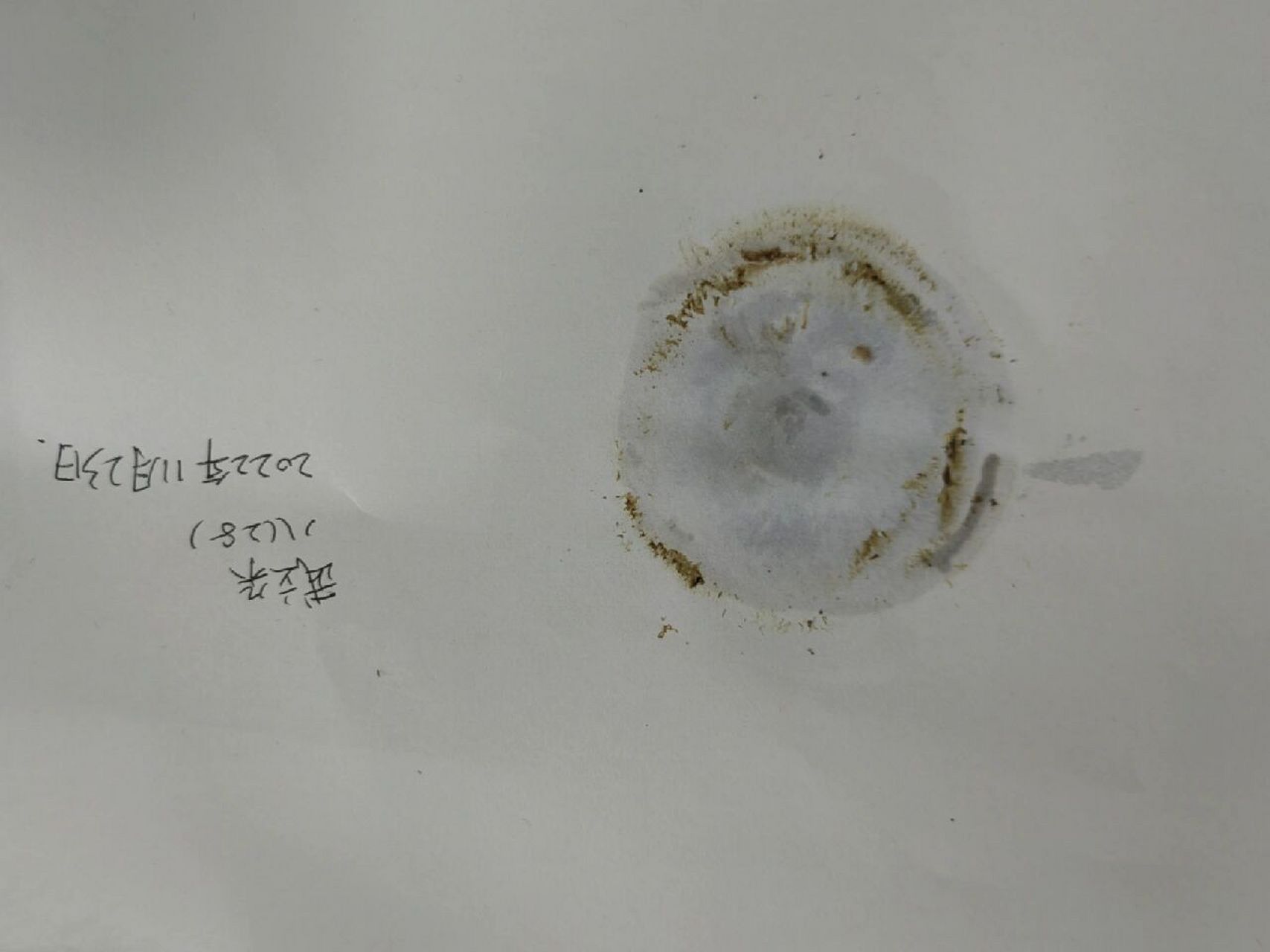 制作孢子印